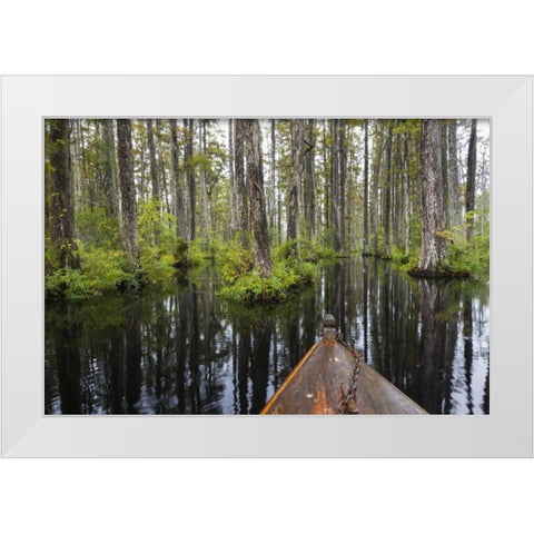 South Carolina Boat bow in cypress swamp White Modern Wood Framed Art Print by Paulson, Don