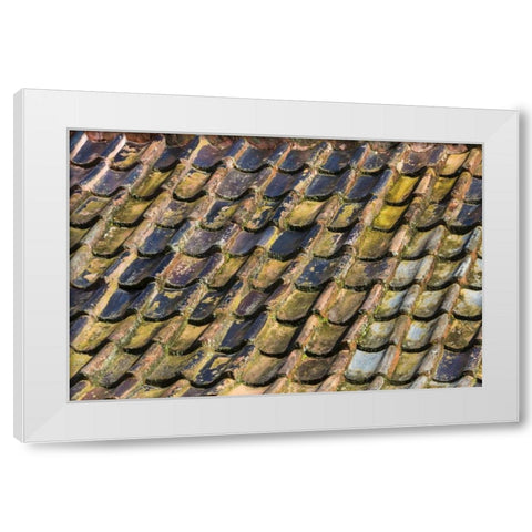 SC, Charleston Roof tiles on Plantation building White Modern Wood Framed Art Print by Paulson, Don