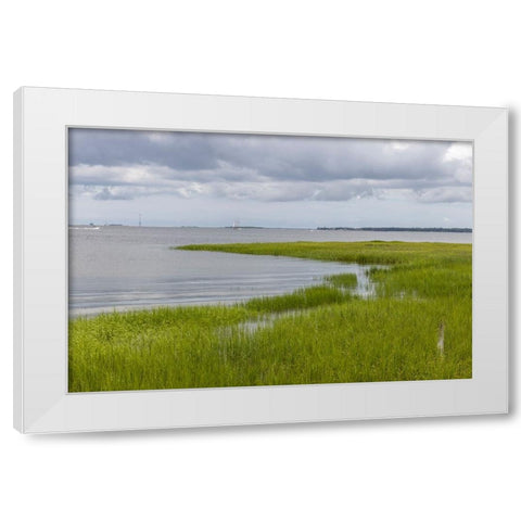 Usa-South Carolina-Charleston White Modern Wood Framed Art Print by Looney, Hollice