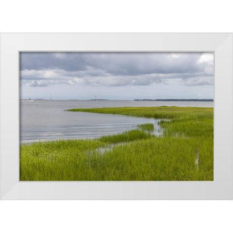 Usa-South Carolina-Charleston White Modern Wood Framed Art Print by Looney, Hollice