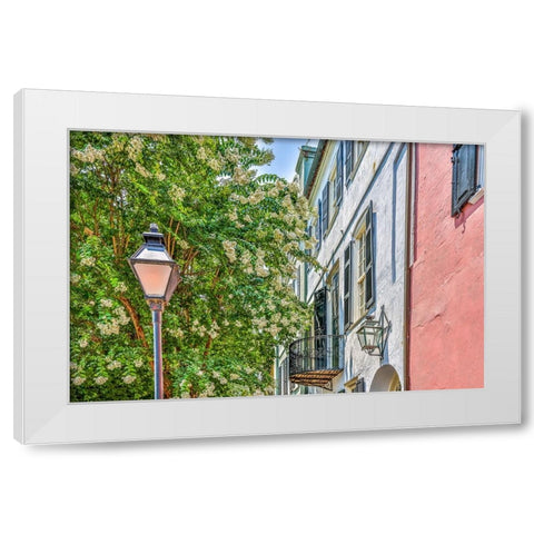 Usa-South Carolina-Charleston White Modern Wood Framed Art Print by Looney, Hollice