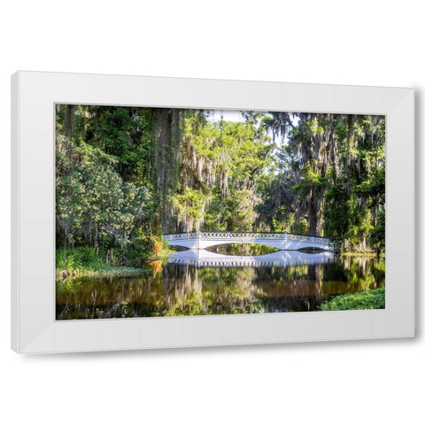 USA- South Carolina- Charleston. Magnolia Plantation White Modern Wood Framed Art Print by Looney, Hollice