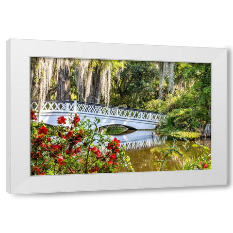 USA- South Carolina- Charleston. Magnolia Plantation White Modern Wood Framed Art Print by Looney, Hollice