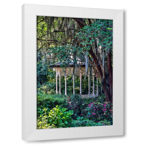 USA- South Carolina- Charleston. Magnolia Plantation White Modern Wood Framed Art Print by Looney, Hollice