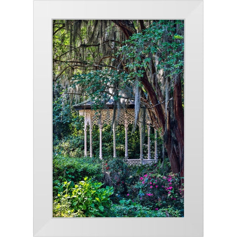 USA- South Carolina- Charleston. Magnolia Plantation White Modern Wood Framed Art Print by Looney, Hollice