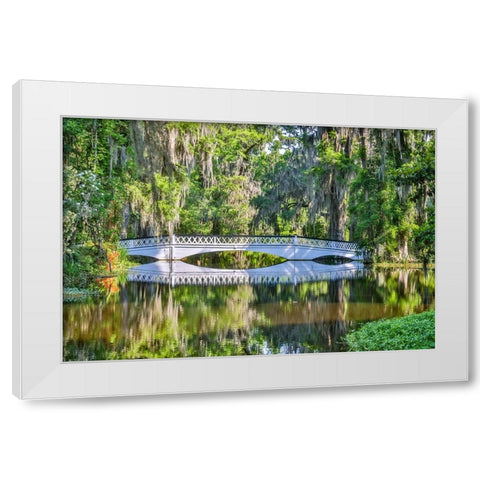 USA- South Carolina- Charleston. Magnolia Plantation White Modern Wood Framed Art Print by Looney, Hollice