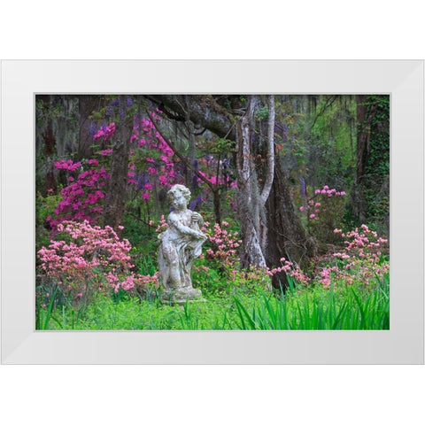 South Carolina-Charleston Azaleas and wisteria blooming at Magnolia Gardens White Modern Wood Framed Art Print by Wells, Joanne