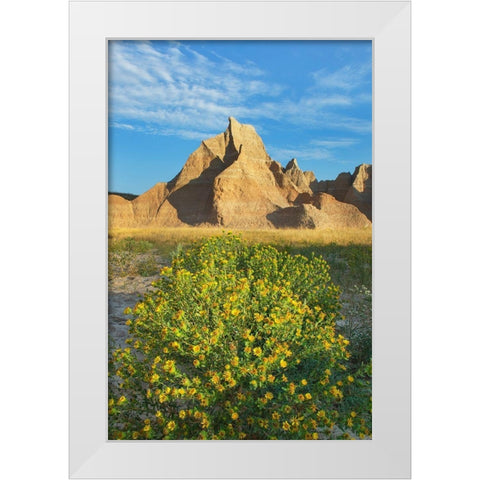 Badlands National Park-South Dakota White Modern Wood Framed Art Print by Majchrowicz, Alan