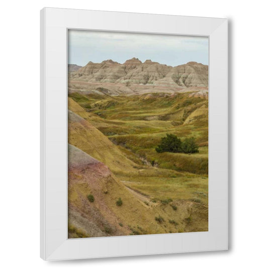 Perspective Image