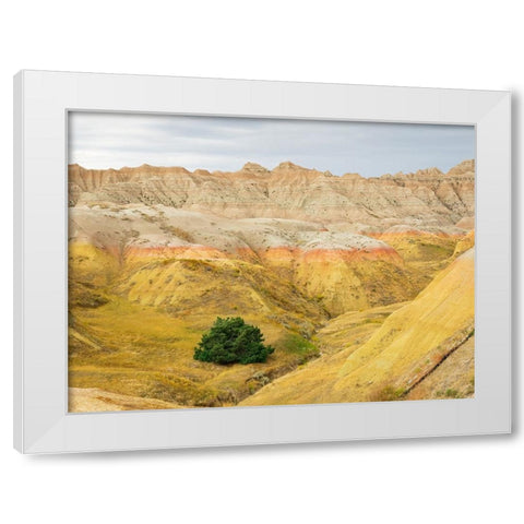 South Dakota- Badlands National Park. Badlands rock formations- Yellow Mounds White Modern Wood Framed Art Print by Wild, Jamie and Judy