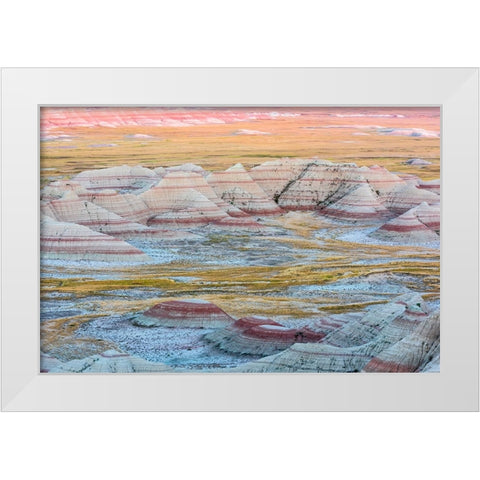 A circular grouping of hoodoo mounds-interspersed with yellow grasses-pinks and red mixed in White Modern Wood Framed Art Print by Haddad, Sheila