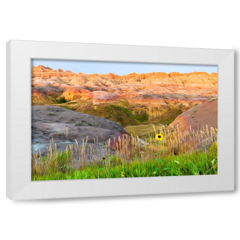 A painterly image of softer hoodoos set against a row of wildflowers and grass White Modern Wood Framed Art Print by Haddad, Sheila
