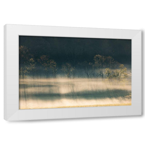 Foggy meadow at sunrise-Cades Cove-Smoky Mountains National Park-Tennessee White Modern Wood Framed Art Print by Jones, Adam