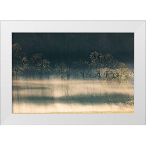 Foggy meadow at sunrise-Cades Cove-Smoky Mountains National Park-Tennessee White Modern Wood Framed Art Print by Jones, Adam