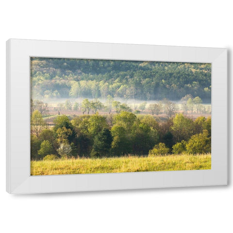 Foggy meadow at sunrise-Cades Cove-Smoky Mountains National Park-Tennessee White Modern Wood Framed Art Print by Jones, Adam