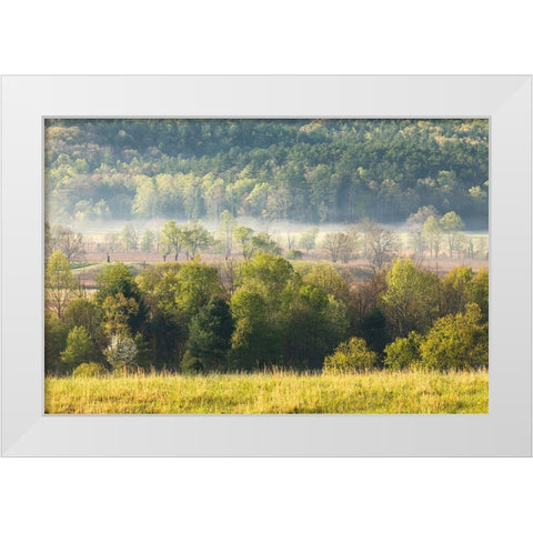 Foggy meadow at sunrise-Cades Cove-Smoky Mountains National Park-Tennessee White Modern Wood Framed Art Print by Jones, Adam