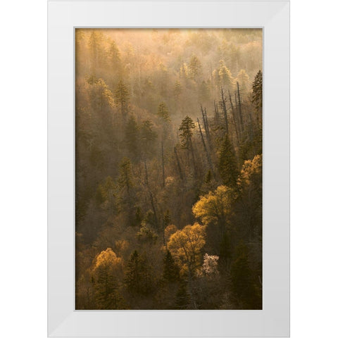 Spring sunset from Morton Overlook-Great Smoky Mountains National Park-Tennessee White Modern Wood Framed Art Print by Jones, Adam