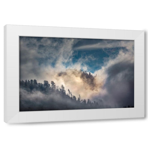 Mist and sunlight in the mountains-Great Smoky Mountain National Park-Tennessee White Modern Wood Framed Art Print by Jones, Adam
