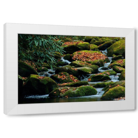 Water Falling over Boulders on Roaring Fork Motor Nature Trail White Modern Wood Framed Art Print by Miller, Anna