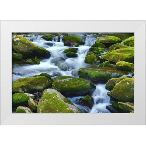 Water Falling over Boulders on Roaring Fork Motor Nature Trail White Modern Wood Framed Art Print by Miller, Anna