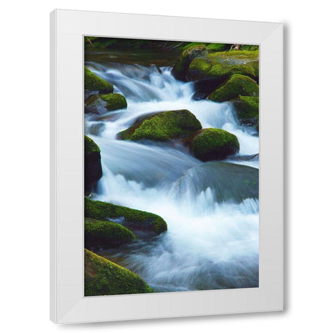 Water Falling over Boulders on Roaring Fork Motor Nature Trail White Modern Wood Framed Art Print by Miller, Anna