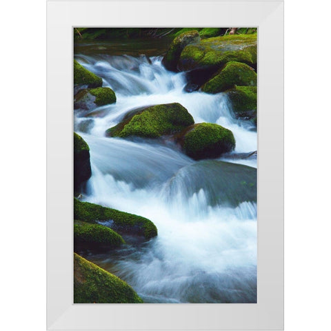 Water Falling over Boulders on Roaring Fork Motor Nature Trail White Modern Wood Framed Art Print by Miller, Anna