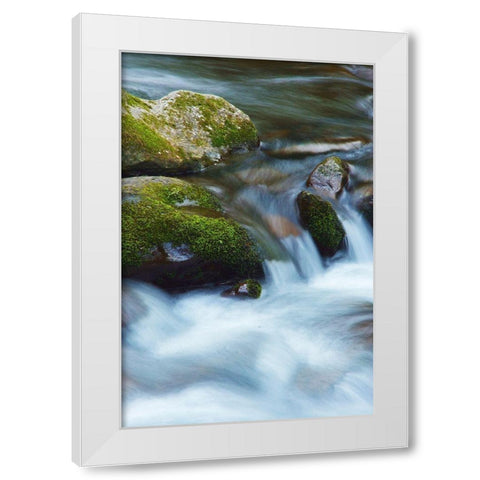 Water Falling over Boulders on Roaring Fork Motor Nature Trail White Modern Wood Framed Art Print by Miller, Anna