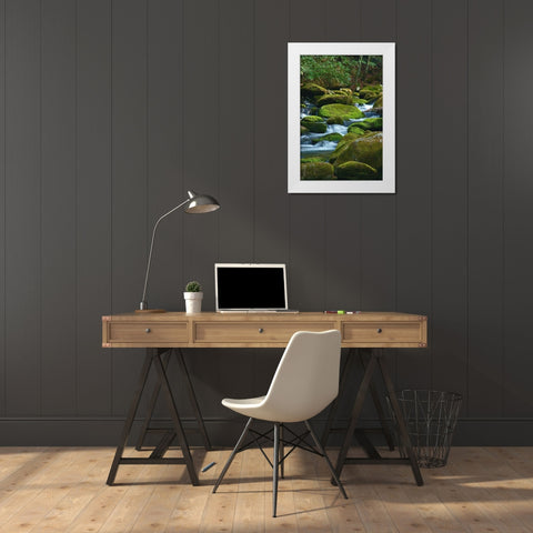 Water Falling over Boulders on Roaring Fork Motor Nature Trail White Modern Wood Framed Art Print by Miller, Anna