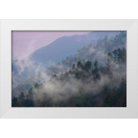 Mountain Clouds at Newfound Gap-Smoky Mountains National Park-Tennessee-USA White Modern Wood Framed Art Print by Miller, Anna