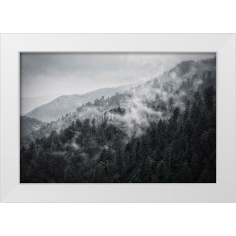 Mountain Clouds at Newfound Gap-Smoky Mountains National Park-Tennessee-USA White Modern Wood Framed Art Print by Miller, Anna