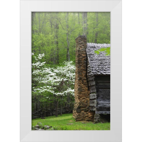 TN, Great Smoky Mts Log cabin and blooming trees White Modern Wood Framed Art Print by Flaherty, Dennis