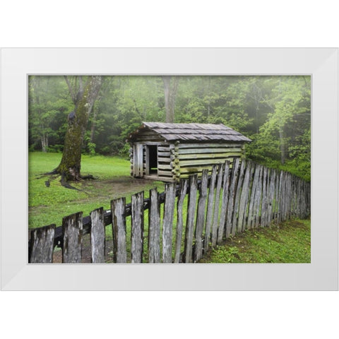 TN, Great Smoky Mts Fence and abandoned cabin White Modern Wood Framed Art Print by Flaherty, Dennis