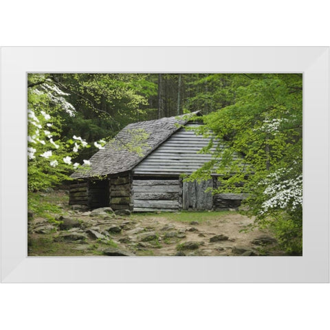 TN, Great Smoky Mts Abandoned log stable White Modern Wood Framed Art Print by Flaherty, Dennis