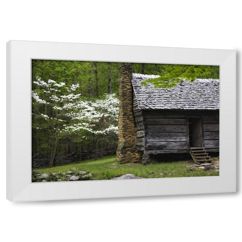 TN, Great Smoky Mts Log cabin and blooming trees White Modern Wood Framed Art Print by Flaherty, Dennis