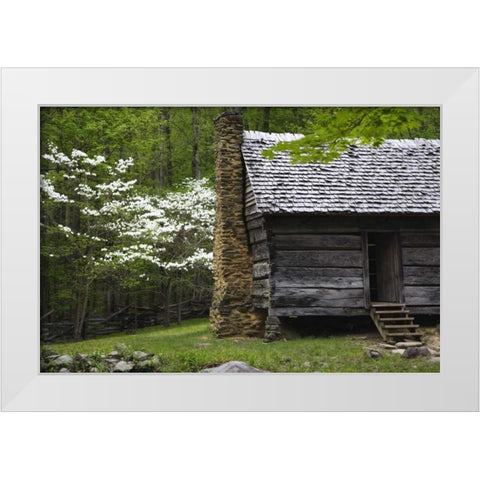 TN, Great Smoky Mts Log cabin and blooming trees White Modern Wood Framed Art Print by Flaherty, Dennis