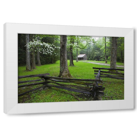 TN, Great Smoky Mts Fence and abandoned cabin White Modern Wood Framed Art Print by Flaherty, Dennis