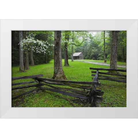 TN, Great Smoky Mts Fence and abandoned cabin White Modern Wood Framed Art Print by Flaherty, Dennis