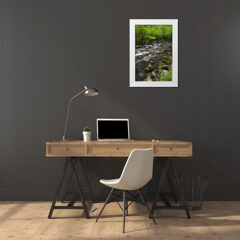TN, Great Smoky Mts Mountain stream and trees White Modern Wood Framed Art Print by Flaherty, Dennis
