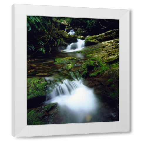 Tennessee, Stream in The Great Smoky Mts White Modern Wood Framed Art Print by Talbot Frank, Christopher