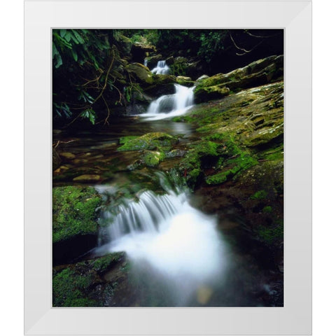 Tennessee, Stream in The Great Smoky Mts White Modern Wood Framed Art Print by Talbot Frank, Christopher