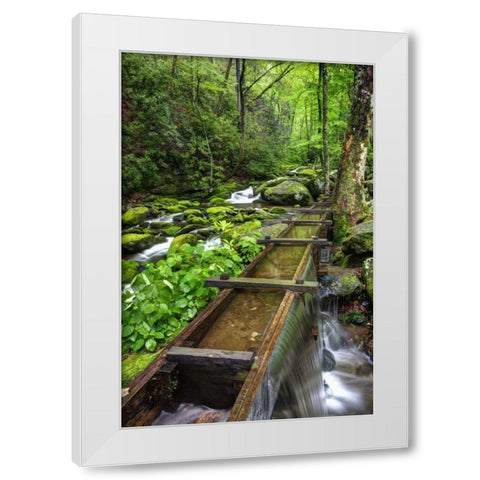 TN, Great Smoky Mts View of the Tub Mill flume White Modern Wood Framed Art Print by Flaherty, Dennis