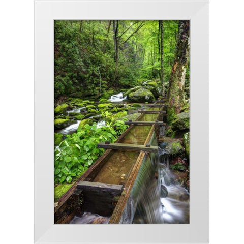 TN, Great Smoky Mts View of the Tub Mill flume White Modern Wood Framed Art Print by Flaherty, Dennis