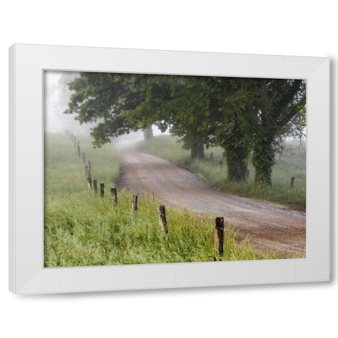 Tennessee, Great Smoky Mts A road in Cades Cove White Modern Wood Framed Art Print by Flaherty, Dennis