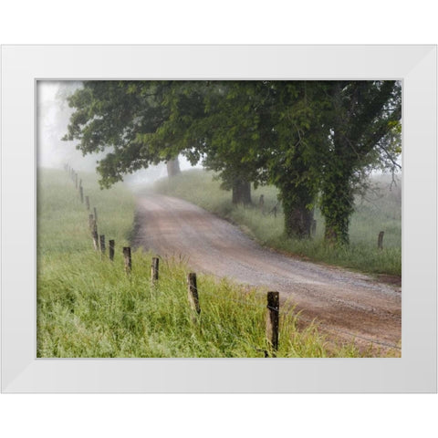 Tennessee, Great Smoky Mts A road in Cades Cove White Modern Wood Framed Art Print by Flaherty, Dennis