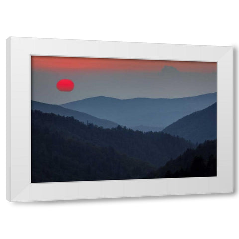 Tennessee, Great Smoky Mts Morton Overlook White Modern Wood Framed Art Print by Flaherty, Dennis