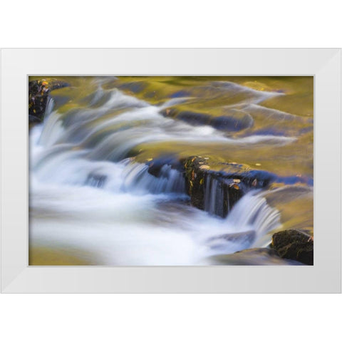 TN, Cherokee NF Reflections on North River White Modern Wood Framed Art Print by Paulson, Don