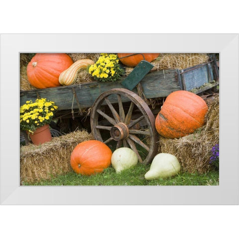 Tennessee, Townsend Halloween display White Modern Wood Framed Art Print by Zuckerman, Jim