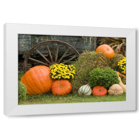 Tennessee, Townsend Halloween display White Modern Wood Framed Art Print by Zuckerman, Jim