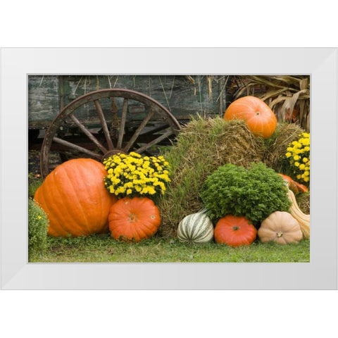 Tennessee, Townsend Halloween display White Modern Wood Framed Art Print by Zuckerman, Jim