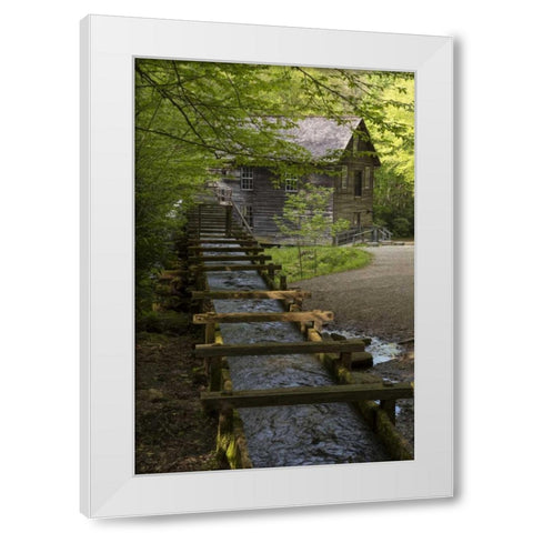 TN, Great Smoky Mts Wooden flume directs water White Modern Wood Framed Art Print by Grall, Don